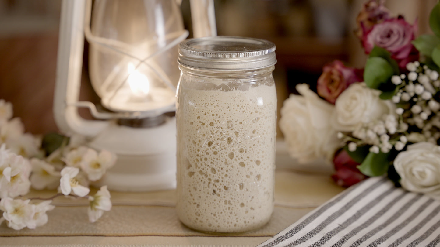 Lady Ella Dehydrated Sourdough Starter